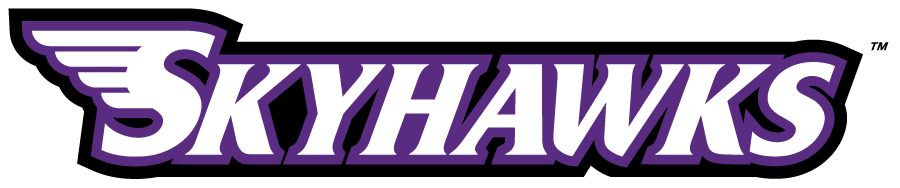 Stonehill Skyhawks 2005-2017 Wordmark Logo v2 diy iron on heat transfer
